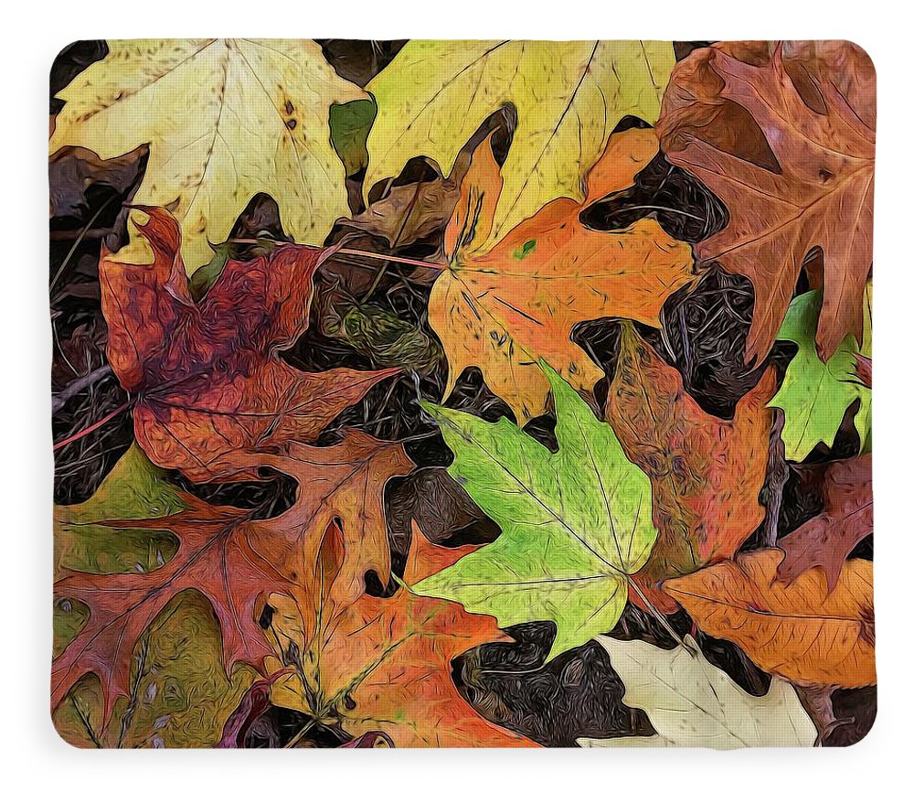 Early October Leaves 3 - Blanket