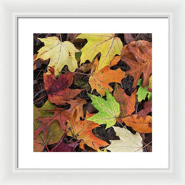 Early October Leaves 3 - Framed Print