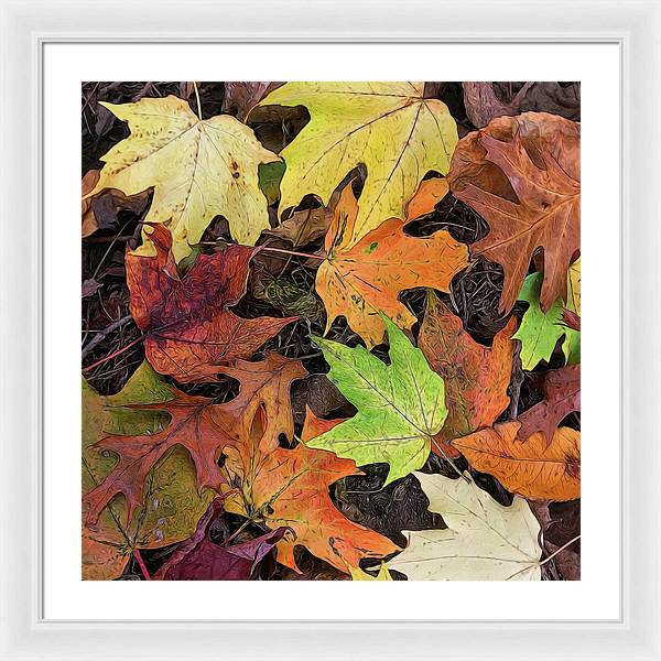 Early October Leaves 3 - Framed Print