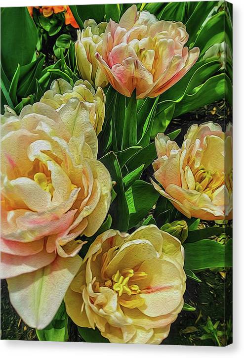 Early Summer Flowers - Canvas Print