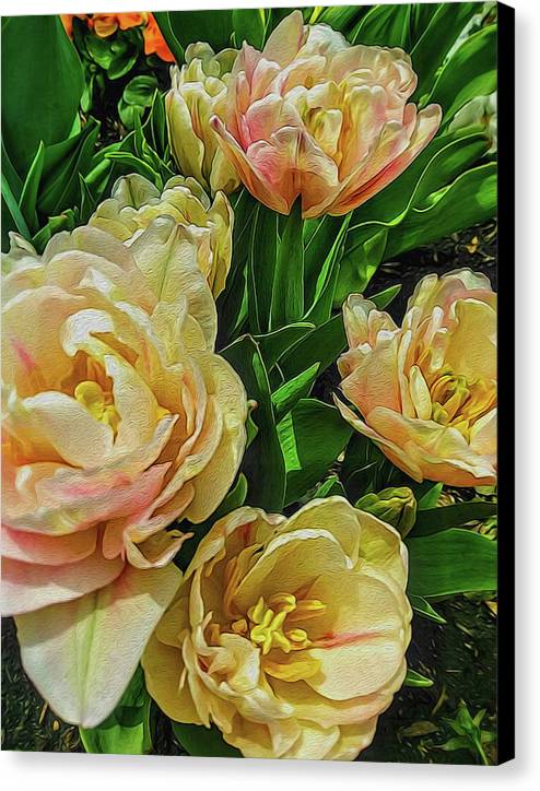 Early Summer Flowers - Canvas Print