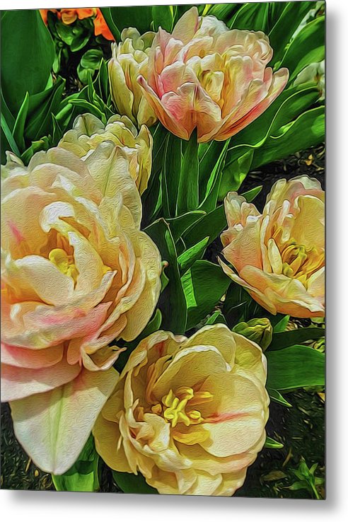 Early Summer Flowers - Metal Print