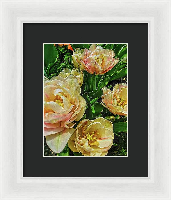 Early Summer Flowers - Framed Print