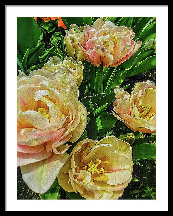 Early Summer Flowers - Framed Print