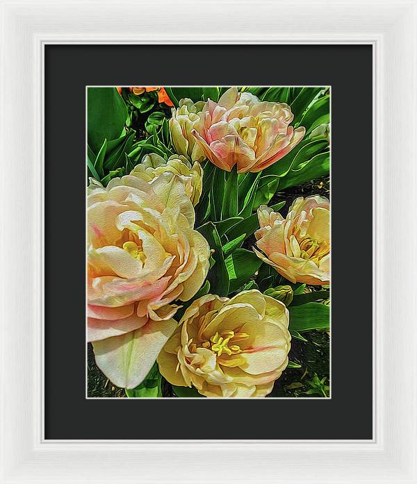 Early Summer Flowers - Framed Print