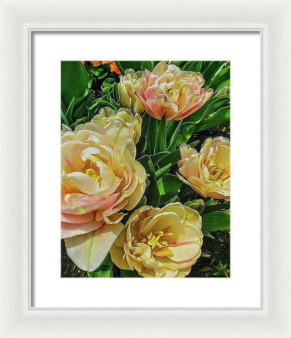 Early Summer Flowers - Framed Print