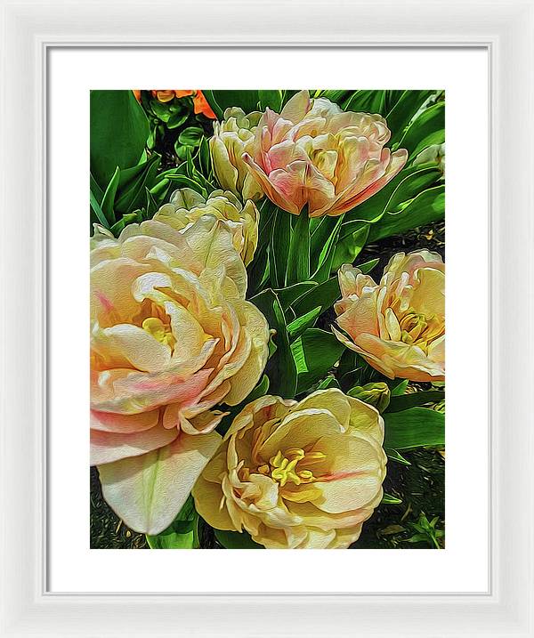 Early Summer Flowers - Framed Print