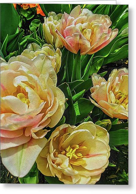 Early Summer Flowers - Greeting Card