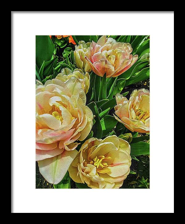 Early Summer Flowers - Framed Print