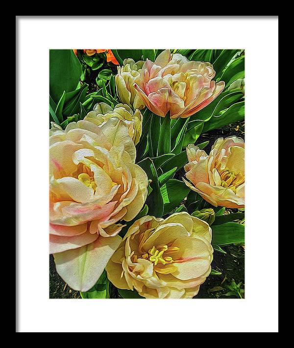 Early Summer Flowers - Framed Print