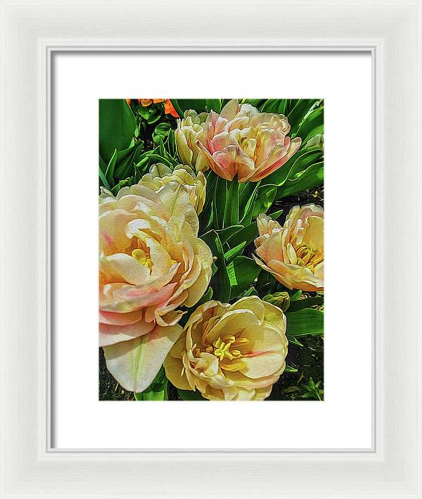 Early Summer Flowers - Framed Print