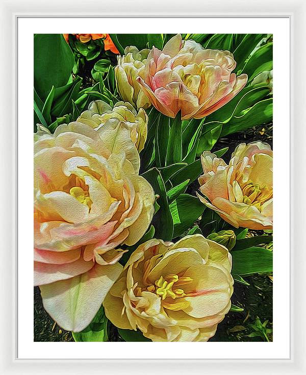 Early Summer Flowers - Framed Print