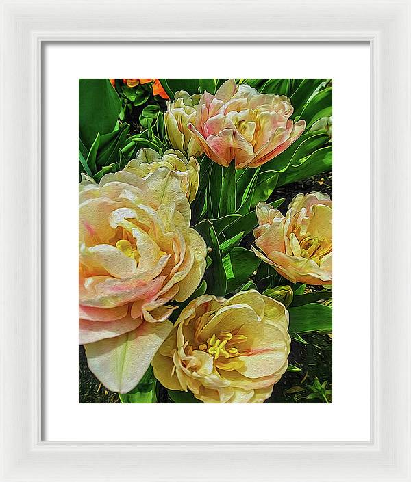 Early Summer Flowers - Framed Print