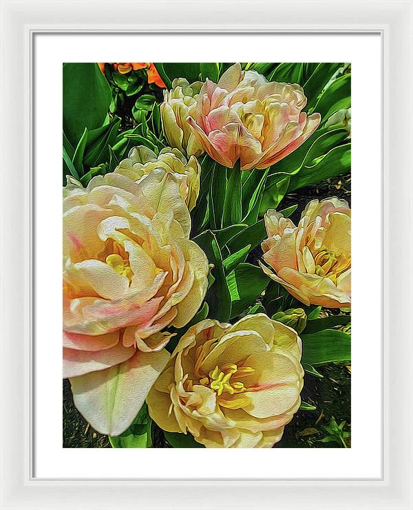 Early Summer Flowers - Framed Print