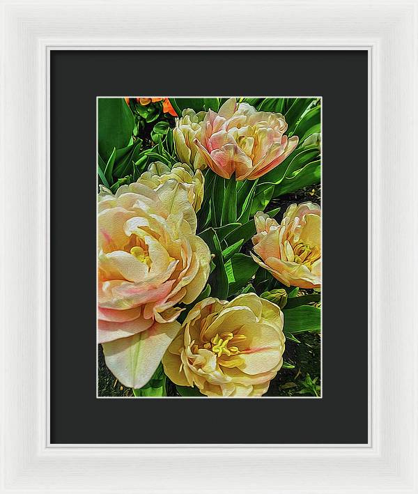 Early Summer Flowers - Framed Print