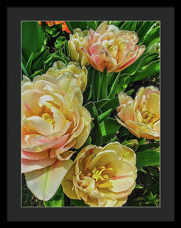 Early Summer Flowers - Framed Print