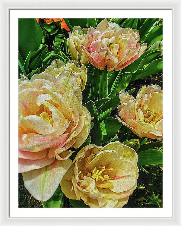 Early Summer Flowers - Framed Print