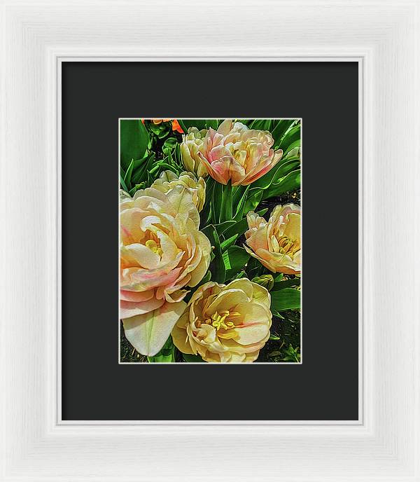 Early Summer Flowers - Framed Print