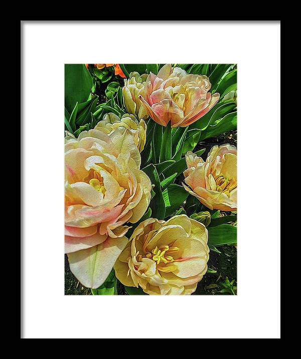 Early Summer Flowers - Framed Print