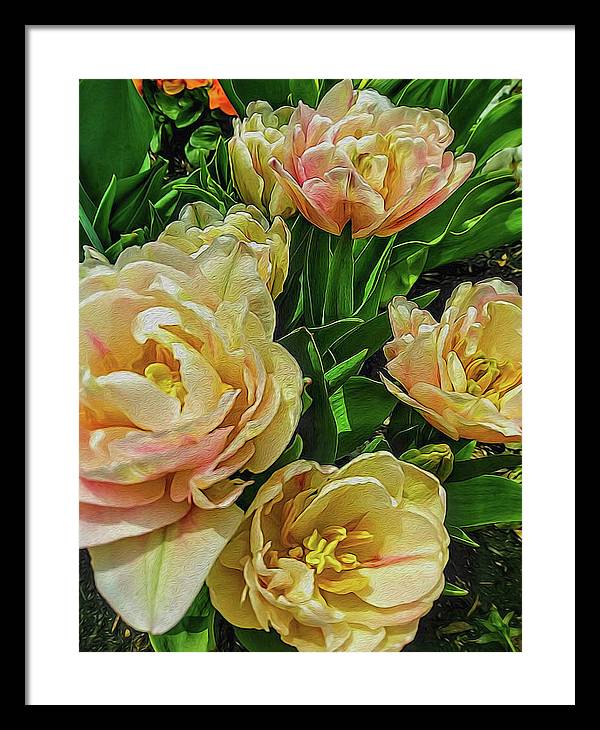 Early Summer Flowers - Framed Print