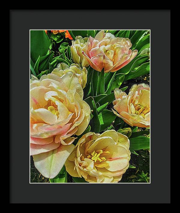 Early Summer Flowers - Framed Print