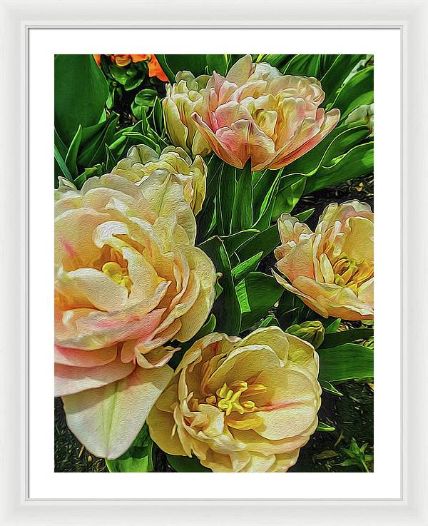 Early Summer Flowers - Framed Print