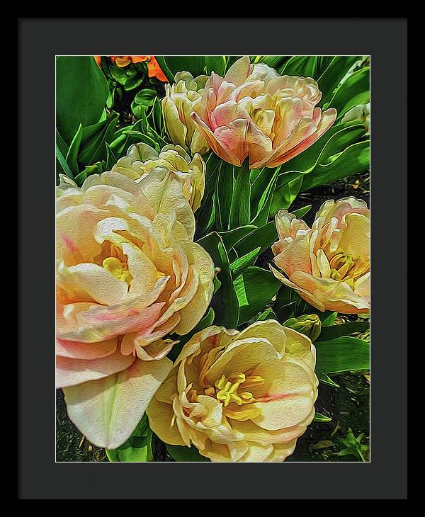 Early Summer Flowers - Framed Print