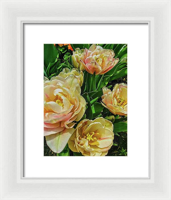 Early Summer Flowers - Framed Print