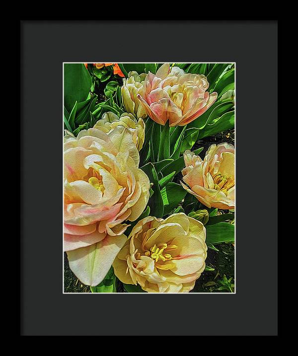 Early Summer Flowers - Framed Print