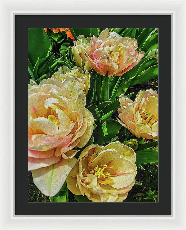 Early Summer Flowers - Framed Print