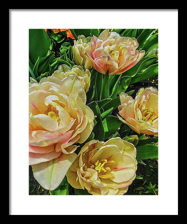 Early Summer Flowers - Framed Print