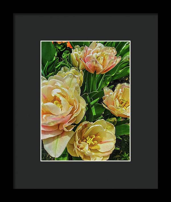 Early Summer Flowers - Framed Print