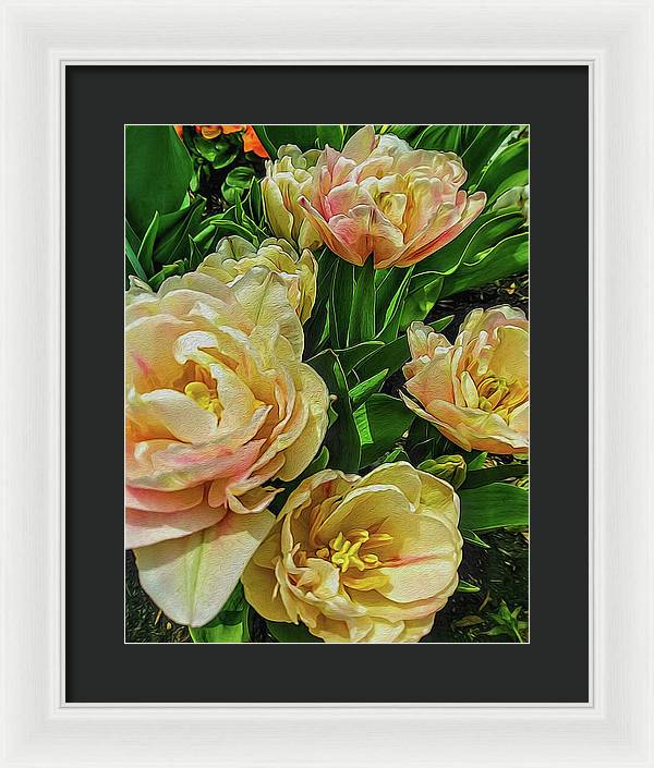 Early Summer Flowers - Framed Print