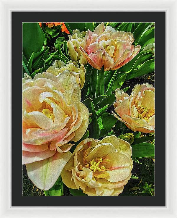 Early Summer Flowers - Framed Print