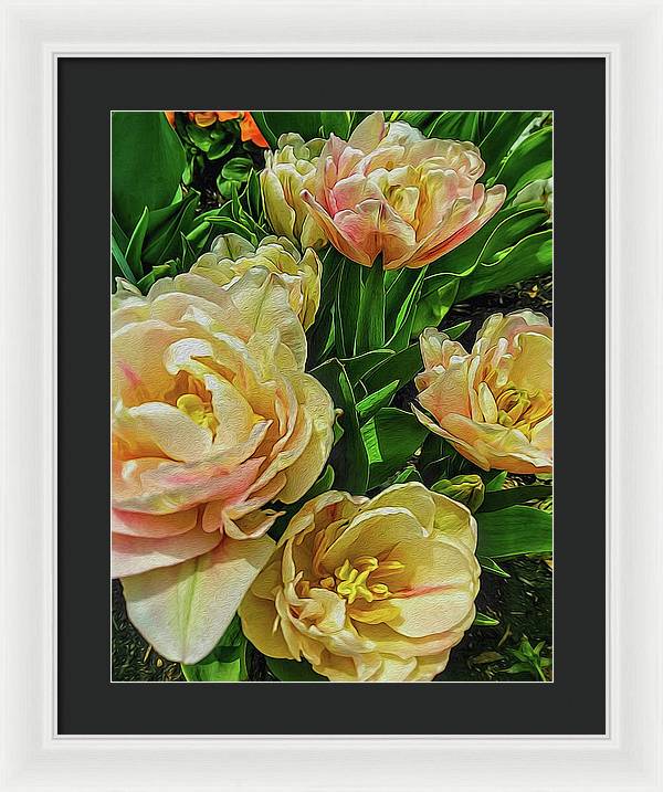 Early Summer Flowers - Framed Print