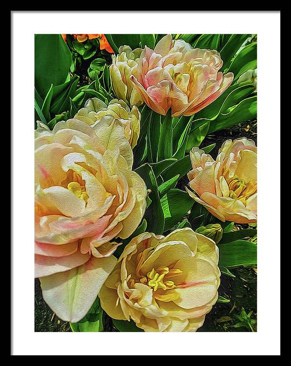 Early Summer Flowers - Framed Print