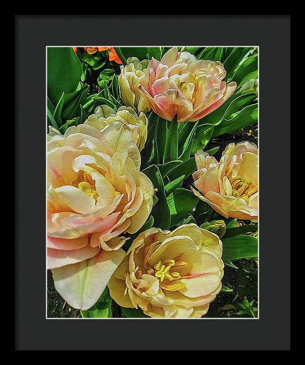 Early Summer Flowers - Framed Print