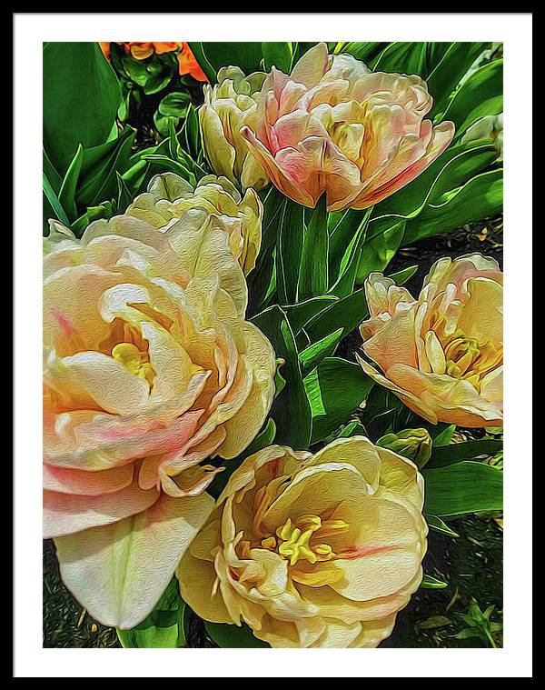 Early Summer Flowers - Framed Print