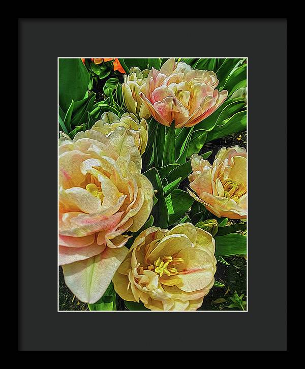 Early Summer Flowers - Framed Print