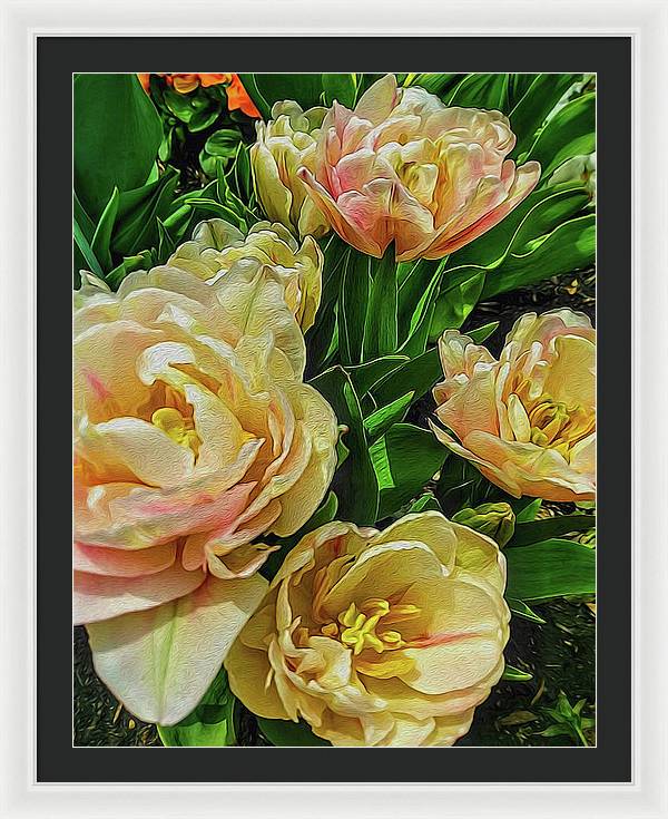 Early Summer Flowers - Framed Print