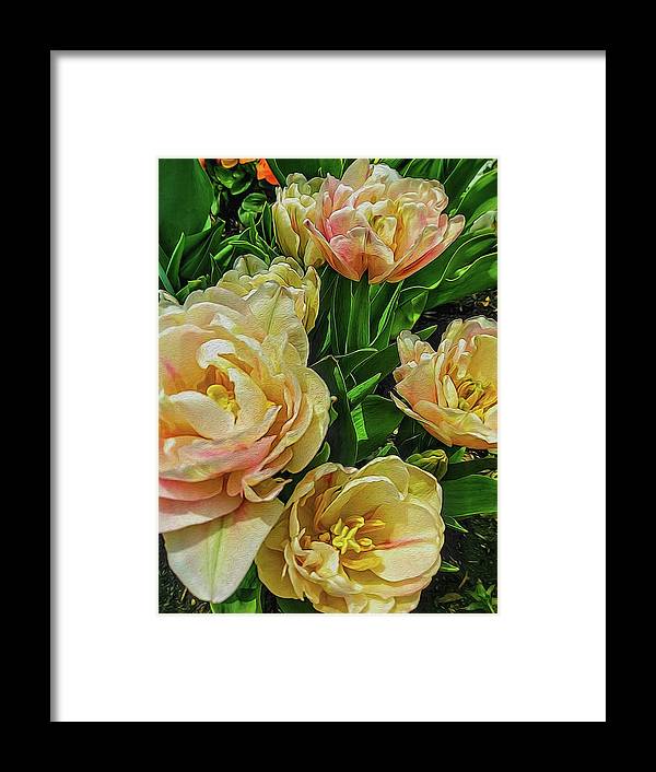 Early Summer Flowers - Framed Print