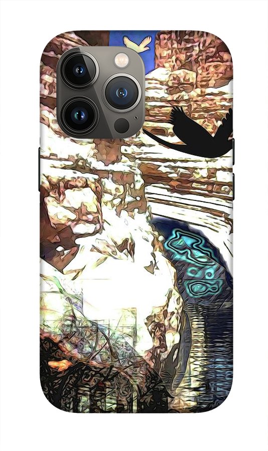 Ein Gedi - Phone Case