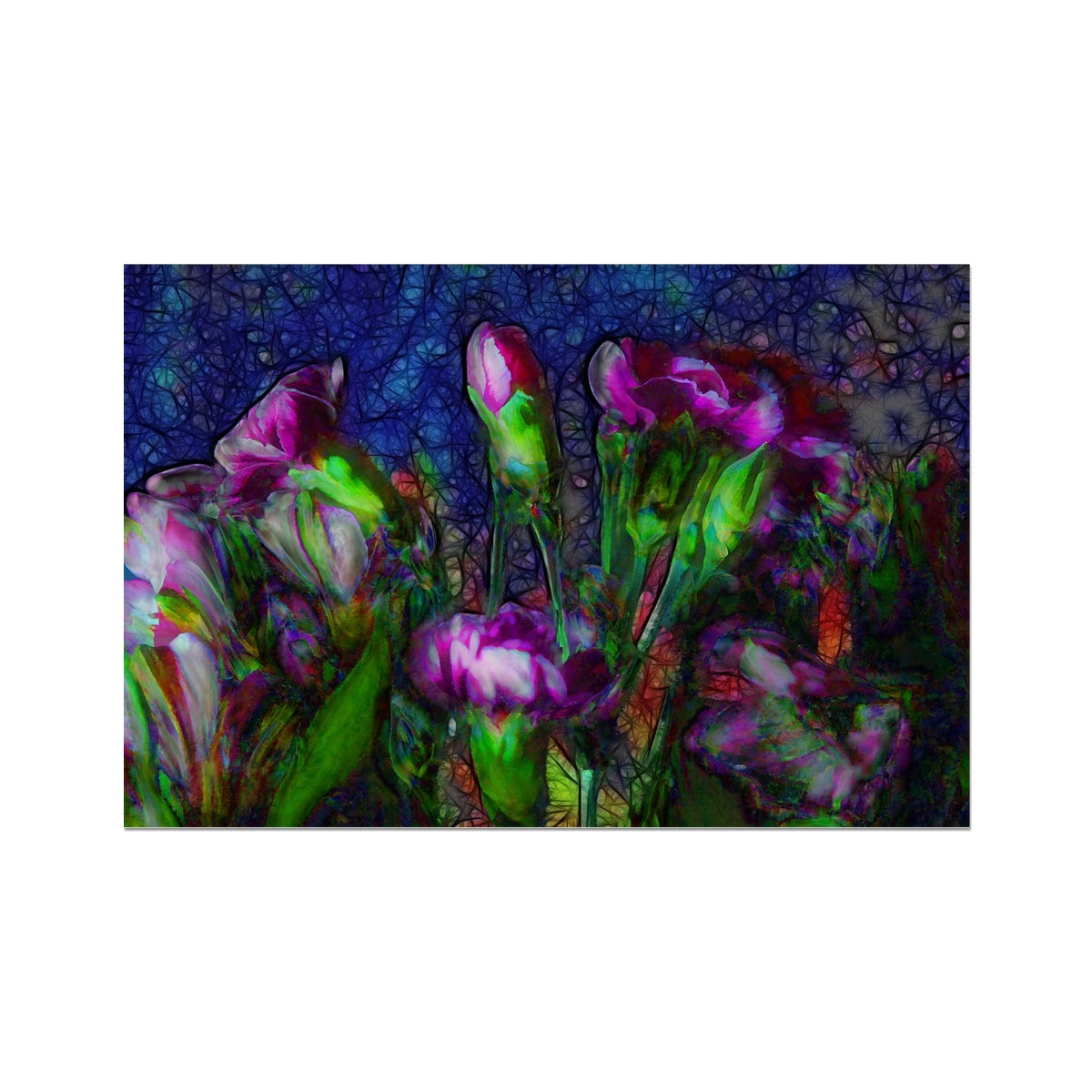 Abstract Pink Carnations Hahnemühle Photo Rag Print