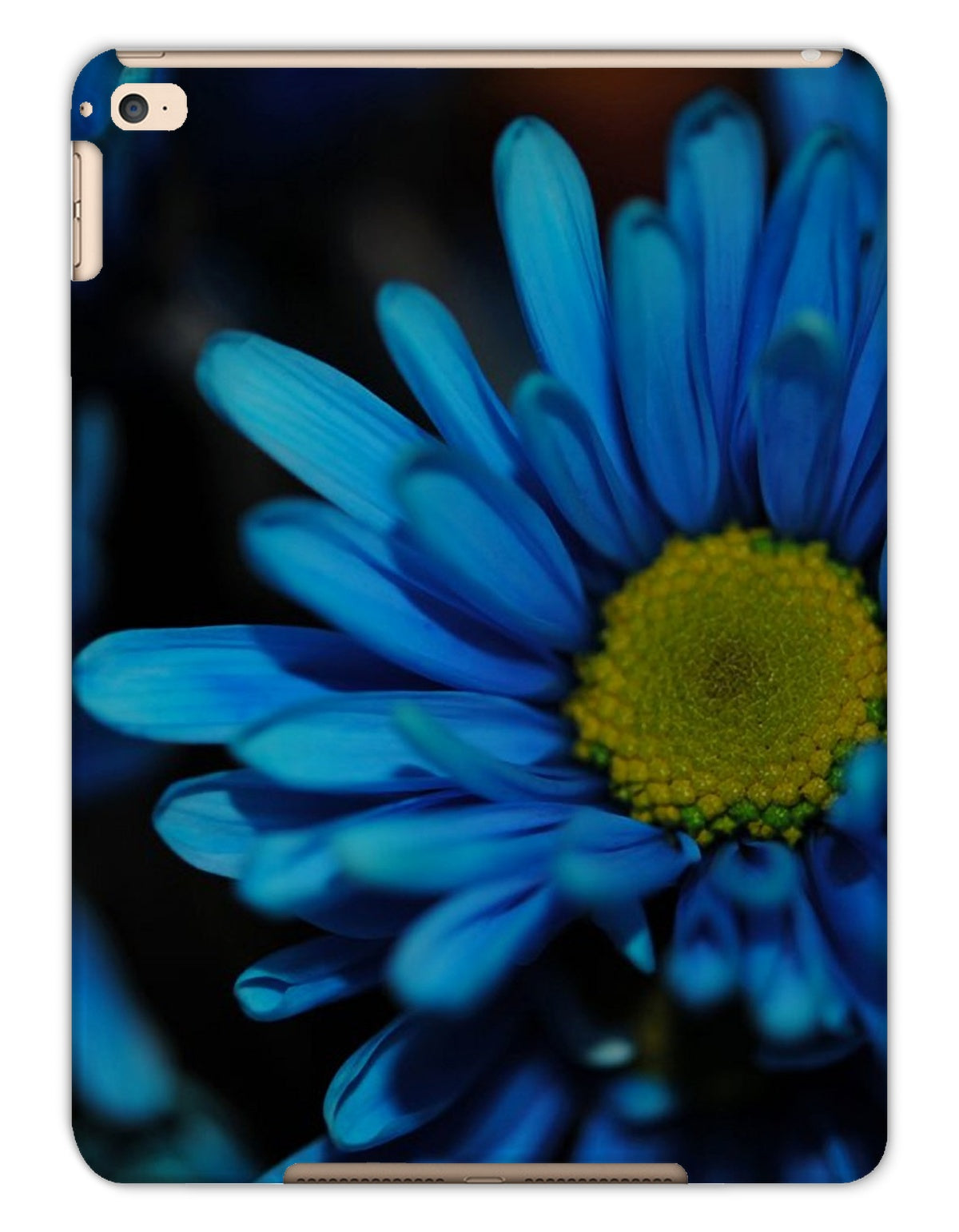 Blue Daisy Tablet Cases