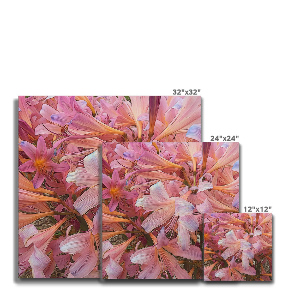 Pink Amaryllis Canvas