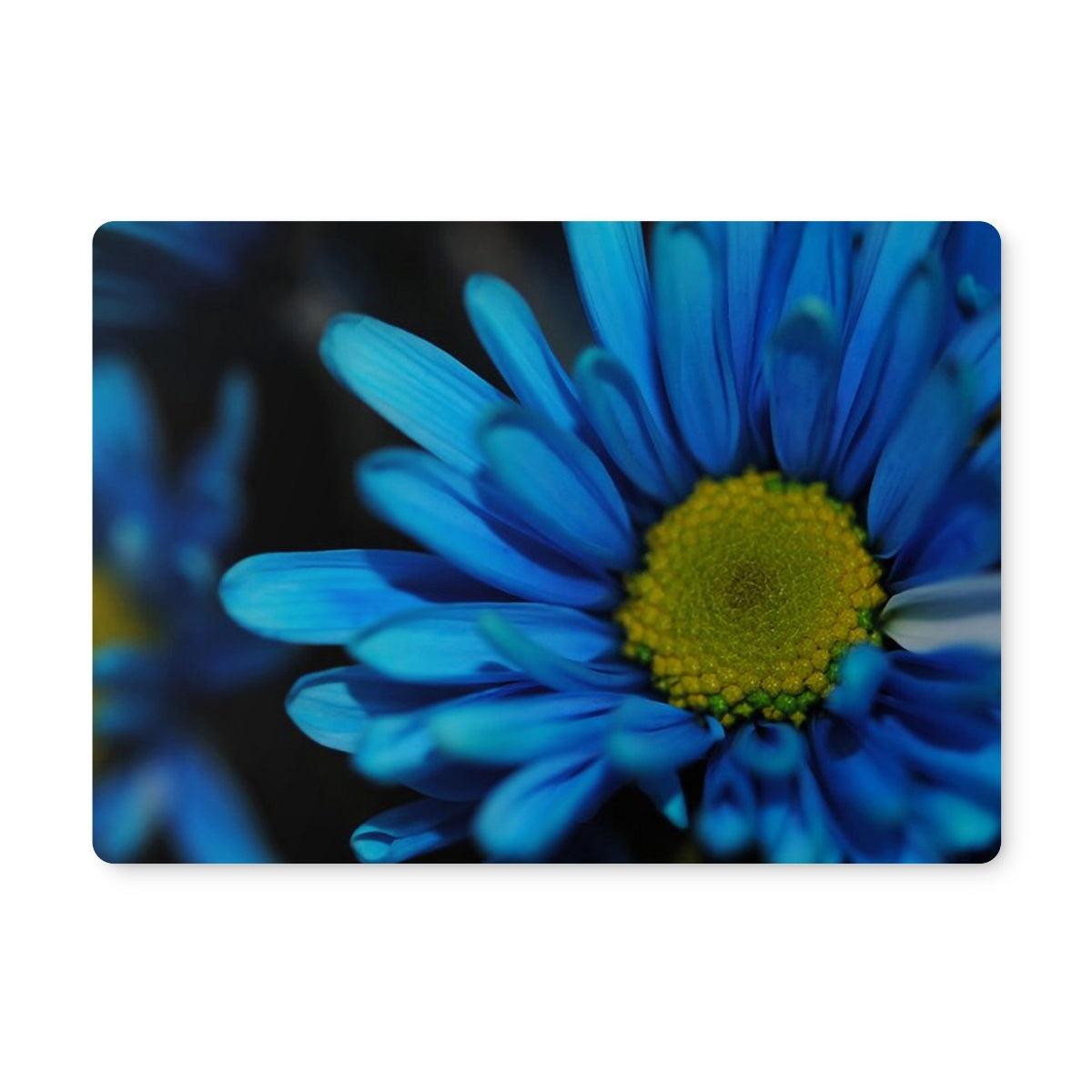 Blue Daisy Placemat