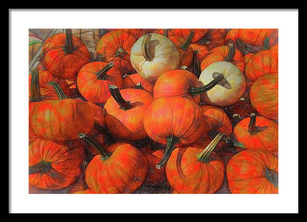 Fall Pumpkin Pile - Framed Print