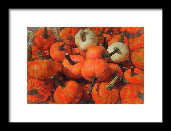 Fall Pumpkin Pile - Framed Print