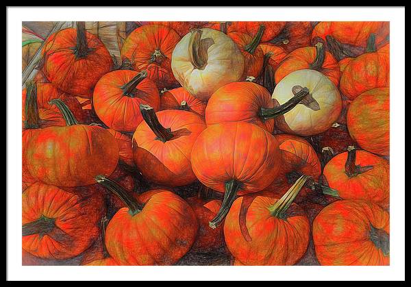 Fall Pumpkin Pile - Framed Print