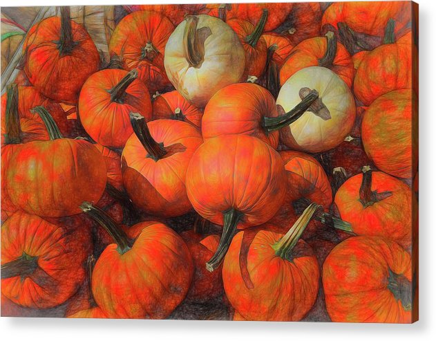 Fall Pumpkin Pile - Acrylic Print